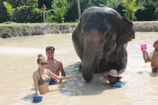 Elephant Sanctuary Phuket