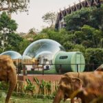 Anantara Golden Triangle Chiang Rai