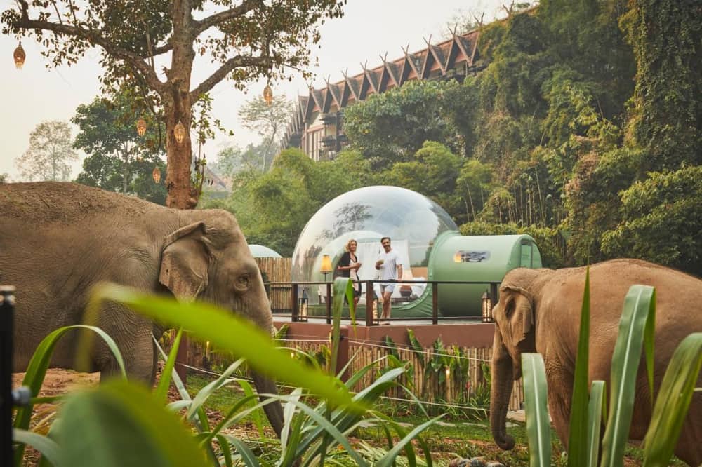 Anantara Golden Triangle Chiang Rai Elephants