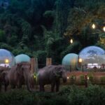 Anantara Golden Triangle Chiang Rai Elephants Camp