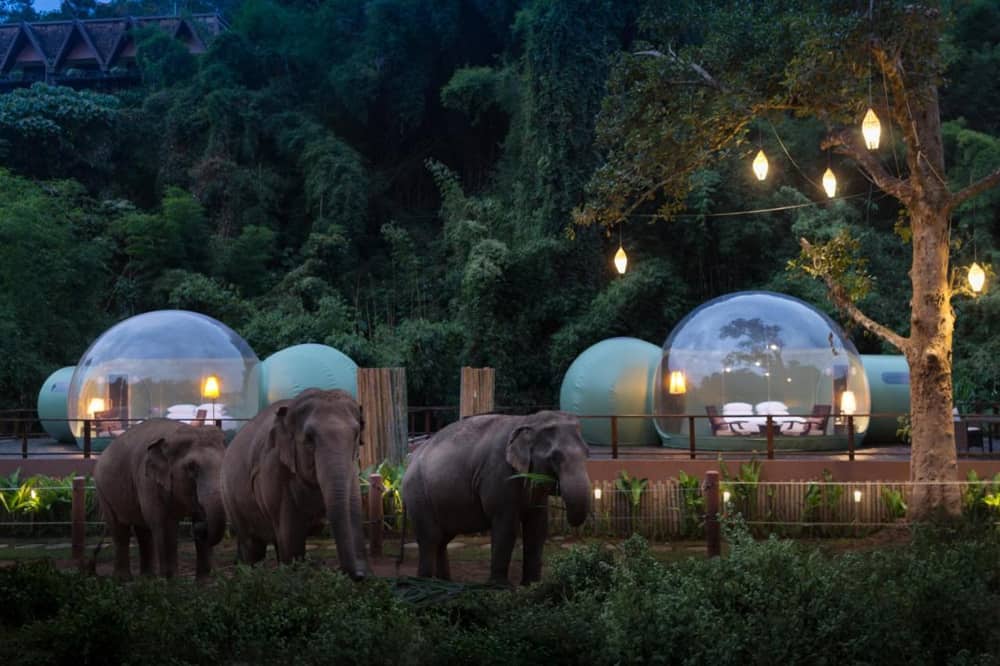 Anantara Golden Triangle Chiang Rai Elephants Camp