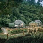 Anantara Jungle Bubble Chiang Rai Hotel
