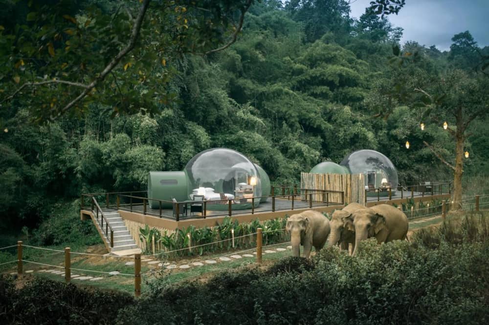 Anantara Jungle Bubble Chiang Rai Hotel