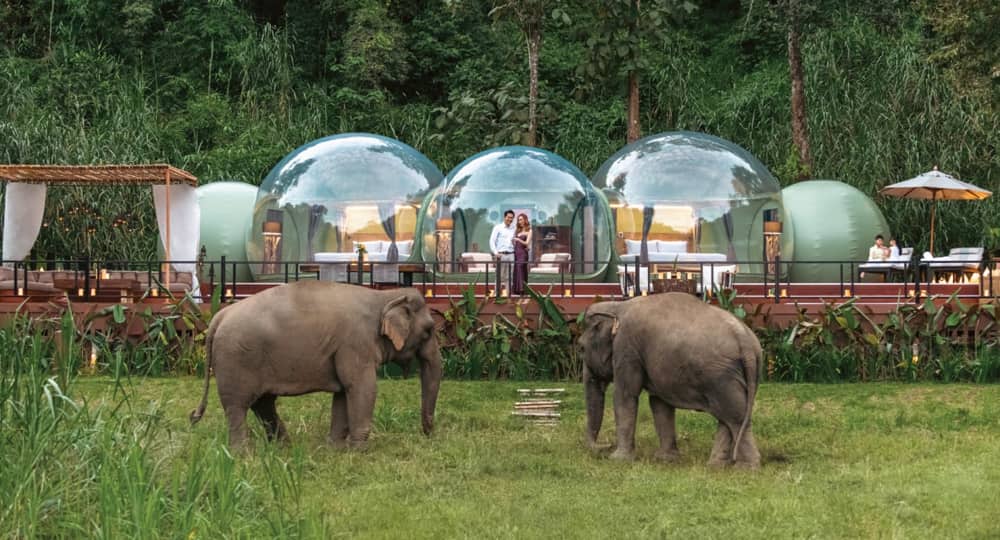 The Jungle Bubble Chiang Rai Anantara