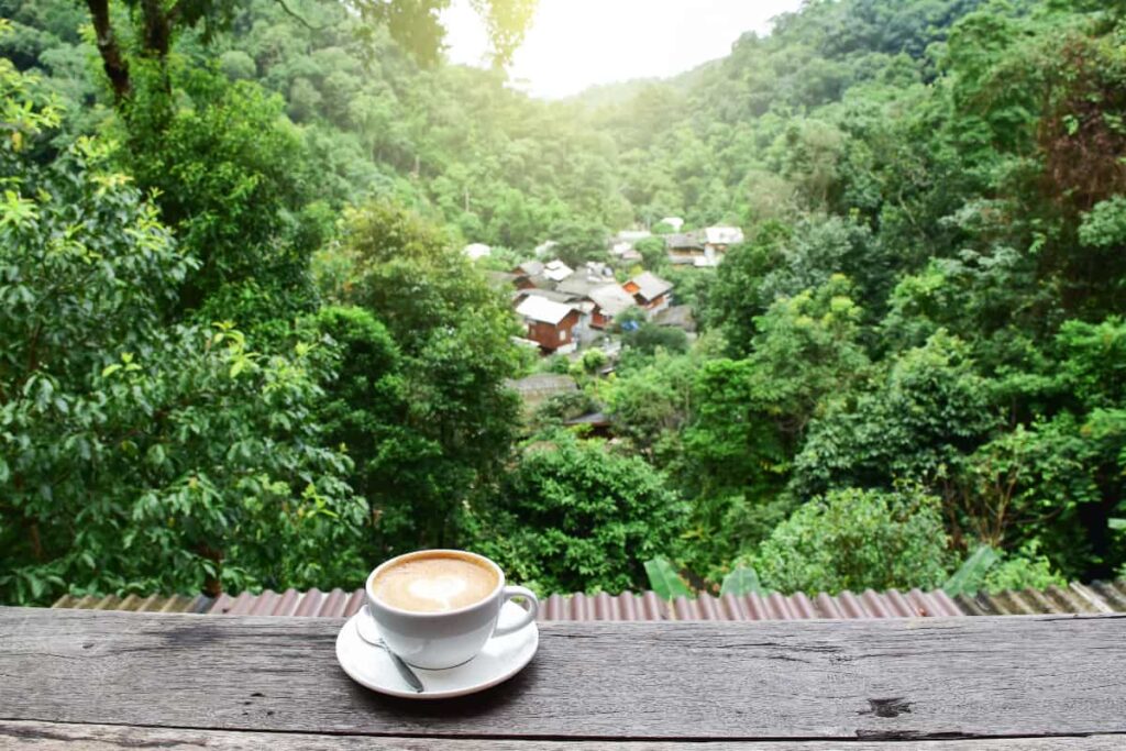 Coffee at Mae Kampong village in Chiang Mai