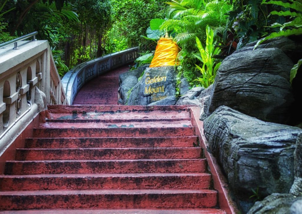 Début de l'escalade
