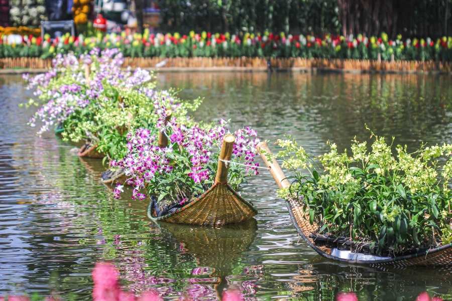 Parc Nong Buak Haad
