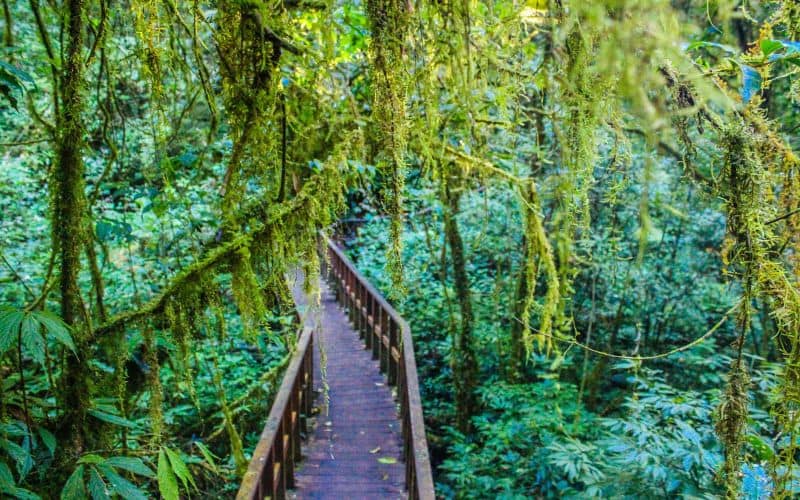 Ang Ka Nature Trail