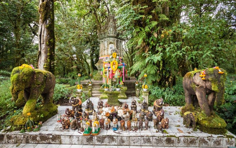 Doi Inthanon Forêts