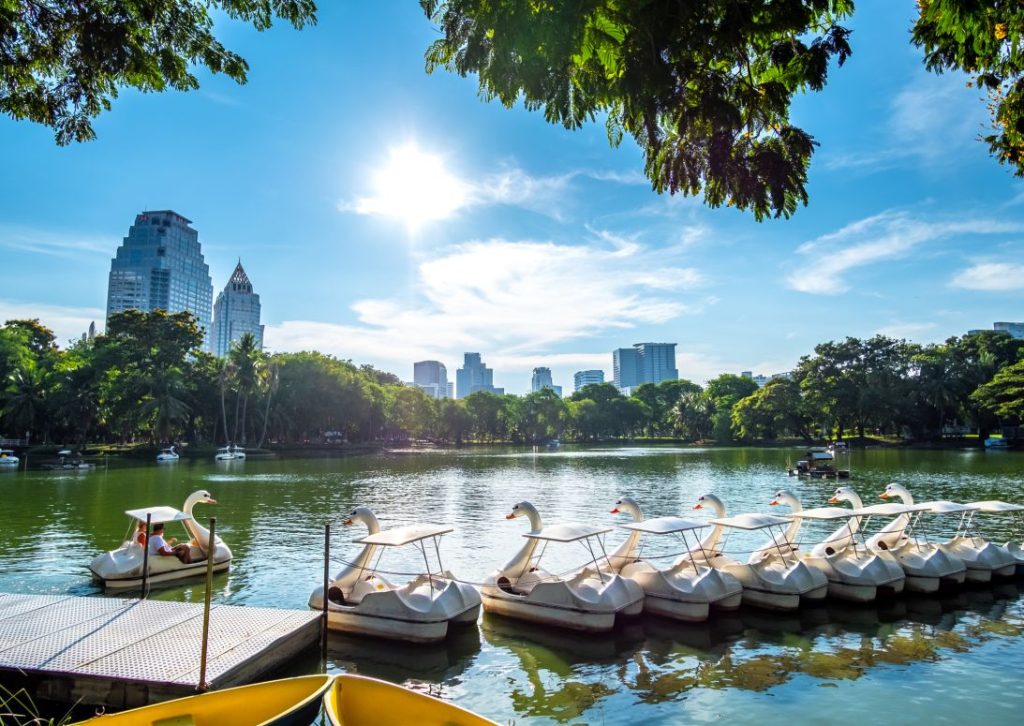 Bateaux à louer