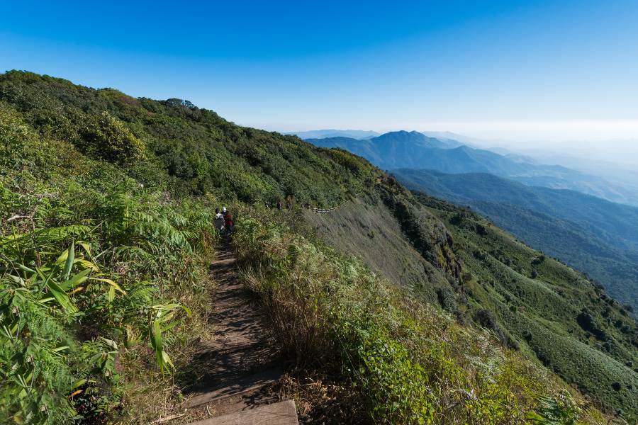 Kew Mae Pan Nature Trail