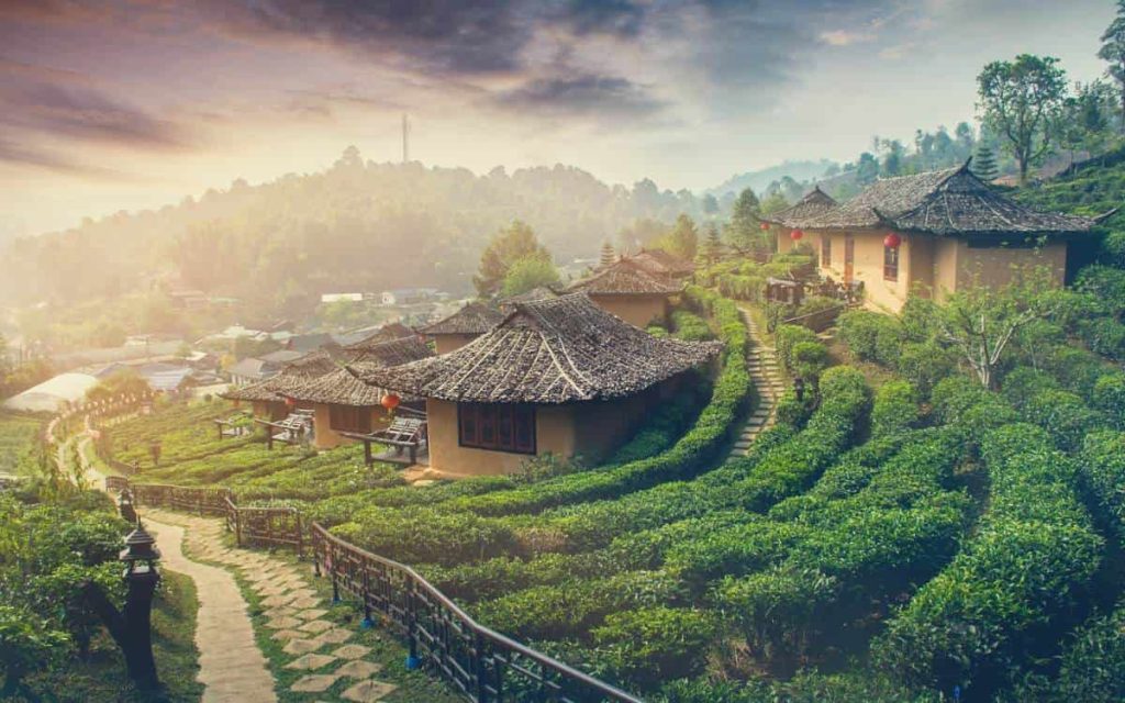 ban-rak-thai (1)