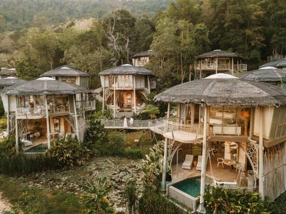 treehouse (1)